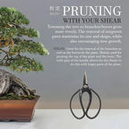 BambooMN Bonsai 7" Heavy Duty Butterfly Shear - 1 Piece