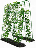 Cucumber Trellis - 62.4"*50" Cucumber Trellis for Raised Bed with Plastic-Coated Steel Pipe, U-Shape Garden Trellis for Climbing Plants, Garden Trellis for Cucumbers, Beans(Green)