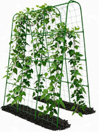 Cucumber Trellis - 62.4"*50" Cucumber Trellis for Raised Bed with Plastic-Coated Steel Pipe, U-Shape Garden Trellis for Climbing Plants, Garden Trellis for Cucumbers, Beans(Green)