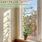Novabright 15.7'' Chain Trellis for Climbing Plants Indoor Natural Wood Ladder Plant Support for Vines Ivy Pothos Wide Strong Climbing Support Modern Home Decor Garden Use Indoor Outdoor