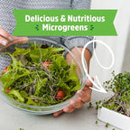 Back to the Roots Organic Microgreens Grow Kit with Ceramic Planter, Expandable Soil, Organic Seeds, and Germination Lid