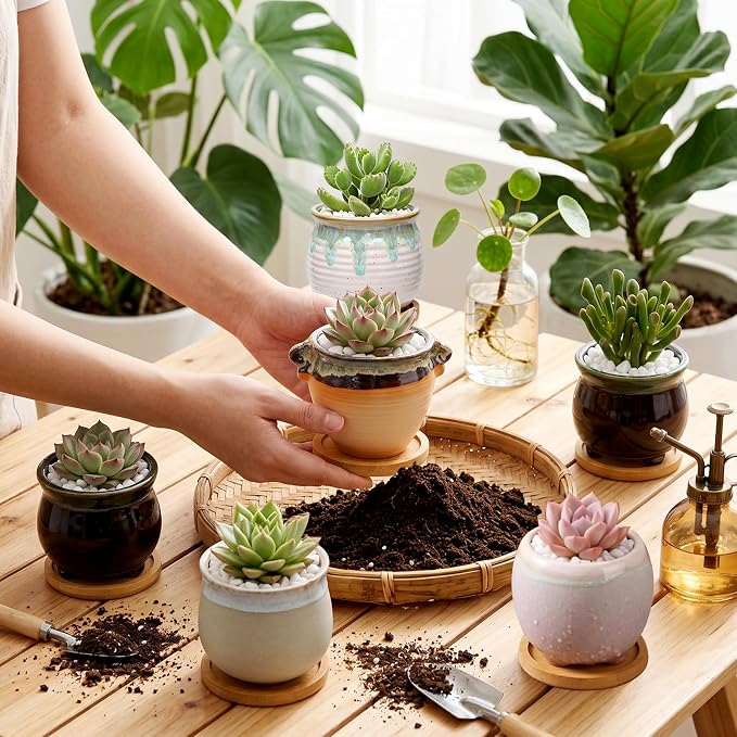 3.5 Inch Succulent Pot with Drainage,Planting/Flower Pots,Small Planter for Mini Plant Ceramic Flowing Glaze Base Serial Set with Holes