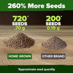 HOME GROWN Culantro Seeds - 720+ Heirloom Herb Seeds for Planting, Slow-Bolting, Flavorful Cilantro Alternative, Great for Outdoor Herb Gardens (Eryngium foetidum)