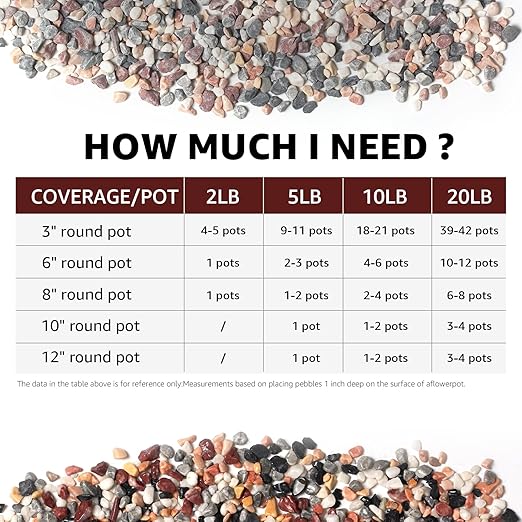 10lbs Natural Gravel Pebbles for Succulents and Cacti, 1/5 Inch Decorative River Stones – Perfect for Vases, Aquariums, Terrariums, and Outdoor Gardening, Mixed Colors (Mixed, 10 Pounds)