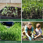 Sckee Upgraded 10 Pack Plant Growing Trays Seed Starting Tray Microgreens Growing Trays Seedling Plant Germination Starter Tray Transplant Fodder Flats, No Holes, No Leakage, Reusable (1015)