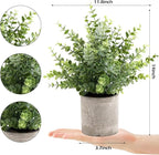2 Pack Small Fake Plants 14" Eucalyptus Potted Artificial Plants for Shelf Desk Home Bathroom Farmhouse Room Coffee Table Decor (Sage Green-Large)