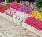 Bassion 24 Bundles Artificial Flowers for Outdoors Decoration, UV Resistant Mixed Color Silk Fake Faux Flowers Artificial Plants for Outside Window Box Porch Garden Home Decor