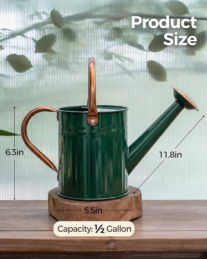 Bamworld Watering Can for Indoor Outdoor Plant Metal Watering Can with Removable Spout Embossd Design Plant Watering Devices Stainless Steel 1/2 Gallon Watering Cans Home & Garden Décor Deep Green