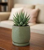 D'vine Dev 4 Inch Ceramic Beaded Stoneware Planter Pot - Flower Pot with Drainage Holes and Saucers for Indoor Succulent Plants or Flowers, Olive, 27-C-Z-0