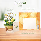 Freshcut Paper Pop Up Cards, Mini Serenity Orchid, 6 Inch Mini Sized Paper House Plants 3D Popup Greeting Card, Birthday Card, Get Well Gifts, Blank Notecard & Envelope