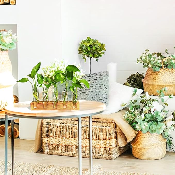 Plant Propagation Station, Plant Terrarium with Wooden Stand, Plants Pots for Hydroponics, Small Birthday Gardening Gifts for Women Mom Plants Lovers Unique - 5 Glass Test Tubes Vases