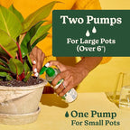 Miracle-Gro Indoor Potting Mix (6 qt.) and Plant Food (8 fl. oz.) for All Plant and Plant Care Leaf Protect & Shine (8 fl. oz.) - Bundle for Growing, Fertilizing, Protecting and Cleaning Houseplants