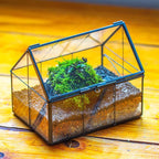 NCYP Mini Glass Terrarium with Lid - 6.1" x 4.25" x 4.92" House Shape Closed Planter Pot for Small Cactus, Succulents Plant - Home Garden Office Tabletop Geometric Decor, Black (Terrarium Only)