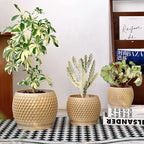 Plant Pots, Modern 3D Printed Honeycomb Planters for Indoor Plants, 4.7/6/8 Inch Wood Decorative Flower Pot for Office Desktop, Bookshelf & Home Decor, Lightweight & Durable