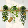 3 Pack Fake Plants Indoor Outdoor with 6 Butterflies – Small Artificial Potted Hanging Plants for Shelf, Balcony, Patio & Wall Decor | Faux Plants for Living Room, Bedroom, Office, Porch