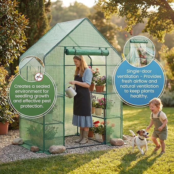Greenhouse for Outdoors,55 x 28 x 78'' Small Greenhouse,Walk in Plant Greenhouses with 3 Tiers 6 Shelves,Heavy Duty with Durable PE Cover,Heavy Duty Plant Greenhouses for Garden and Backyard