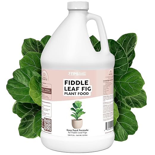 Fiddle Leaf Fig Plant Fertilizer – Liquid Plant Food for Bigger Leaves, Stronger Roots & Healthy New Growth, 1 Gallon
