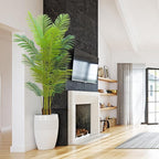 6FT Artificial Palm Tree Indoor with White Pot, Realistic Leaves, 15 Trunks Adjustable Branches, Tall Faux Fake Palm Plant, Ideal for Living Room Bedroom Office Home Interior Aesthetic Decor