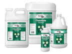 Bloom City Seaweed and Kelp Fertilizer – Liquid Seaweed Supplement for Stronger Roots, Faster Growth & Improved Stress Tolerance, 1 Gallon