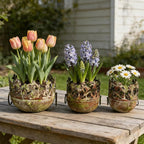 3 Piece Vintage Metal Planter Set, Rustic Distressed Farmhouse Flower Pots with Handles for Indoor Outdoor Garden, Tabletop Centerpieces & Wedding Decor