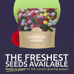 Carnation Chabaud Mix – Large 1/4 Ounce Seed Packet – 4,000 Flower Seeds for Planting – Dianthus caryophyllus