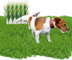 6 PCS Fake Grass Plants Pee Post for Dogs to Pee on, Reusable Washable Artificial Grass for Guiding Male Dogs to Urine and Preventing Urine from Splashing Everywhere