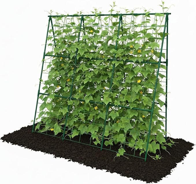 Cucumber Trellis - 49.4"*49.4" Metal Garden Trellis for Climbing Plants, Garden Trellis with Plastic-Coated Steel Pipe, A Frame Trellis for Cucumbers, Peas, Morning Glories(Green)