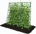 Cucumber Trellis - 49.4"*49.4" Metal Garden Trellis for Climbing Plants, Garden Trellis with Plastic-Coated Steel Pipe, A Frame Trellis for Cucumbers, Peas, Morning Glories(Green)