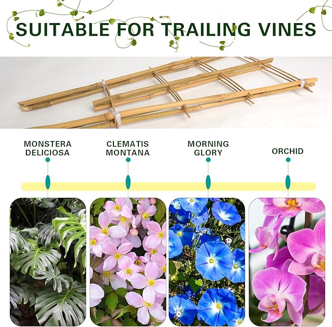 Bamboo Trellis 10 Pack, 16 Inches S3 Natural Bamboo Plant Fan Stakes, Fan-Shaped Plant Support Stand for Orchid Vines, Monarchs, Ivy and Other Plants Climbing, Help Plant Growth