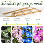Bamboo Trellis 10 Pack, 16 Inches S3 Natural Bamboo Plant Fan Stakes, Fan-Shaped Plant Support Stand for Orchid Vines, Monarchs, Ivy and Other Plants Climbing, Help Plant Growth