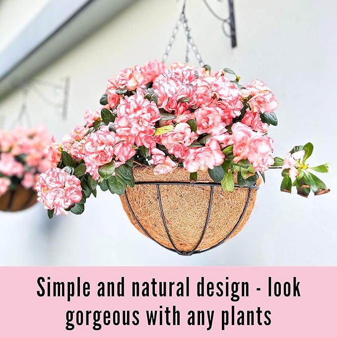 LaLaGreen Hanging Baskets for Plants (3 Pack, 10 Inch) Hanging Planter Outdoor with Coco Liner, Metal Wire Flower Basket Pots Holder Hanger Hook Deck Patio Porch Garden Balcony Outside Decoration