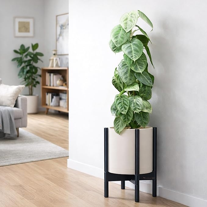 D'vine Dev Planter Pot with Stand - 10 Inch Plastic Cylinder Flower Pot with Wood Planter Holder for Indoor, Oatmeal Pot + Ebony Stand, 55-C-N-4