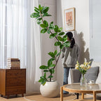 Bailikang 7.2ft Artificial Rubber Tree Faux Plants Indoor Faux Floor Artificial Trees Indoor,Fake Plant Fake Tropical Plants,Large Floor,Real Touch Rubber Tree for Home Decor