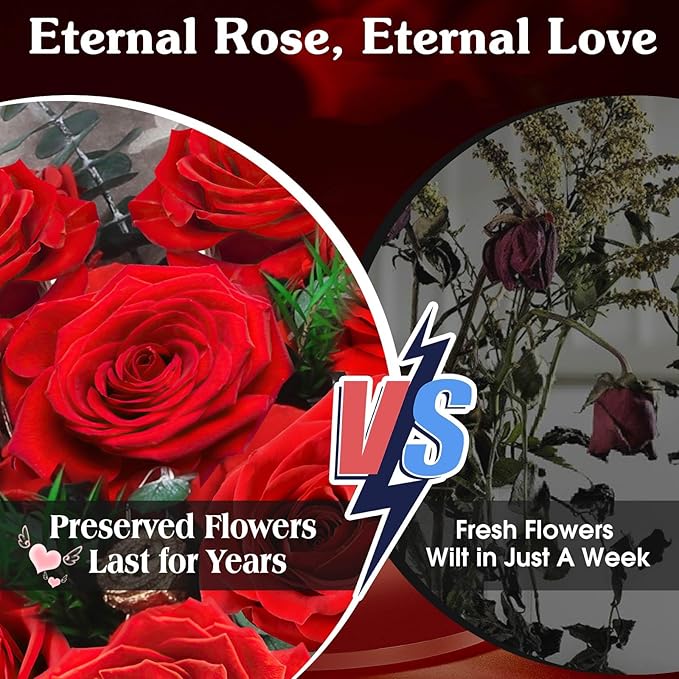 ADDWel 24 Preserved Red Roses Bouquet - Real Roses That Last 3+ Years, Romantic Anniversary & Birthday Gifts for Women, Wife, Girlfriend - Two Dozen Infinity Flowers for Delivery