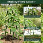 2 Pack Cucumber Trellis, 48"x16" Adjustable A-Frame Trellis for Climbing Plants, Metal Foldable Upgraded Vegetable Trellis for Raised Bed, Support for Tomatoes, Squash, Zucchini, Vegetables & Flowers