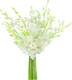 KaBloom - Exotic Perle Bouquet of 20 Fresh White Dendrobium Orchids - Fresh Flowers for Birthday, Valentine's & Mother's Day
