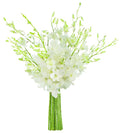KaBloom - Exotic Perla White Orchid Bouquet of 20 Fresh White Dendrobium Orchids without vase - Fresh Flowers for Birthday, Valentine's & Mother's Day