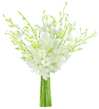 KaBloom - Exotic Perla White Orchid Bouquet of 20 Fresh White Dendrobium Orchids without vase - Fresh Flowers for Birthday, Valentine's & Mother's Day