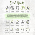 Seed Needs Sunflower Seeds to Plant Sunset Blend 7 Varieties Mix | 1000+ Seeds Helianthus Annuus Heirloom Open Pollinated Bulk Flower Seed | Multicolored Sun Flowers