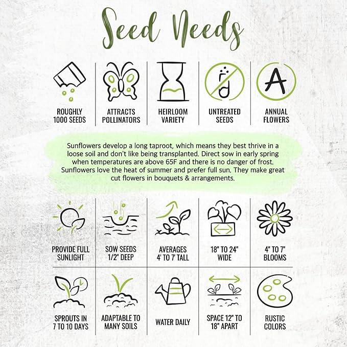Seed Needs Sunflower Seeds to Plant Sunset Blend 7 Varieties Mix | 1000+ Seeds Helianthus Annuus Heirloom Open Pollinated Bulk Flower Seed | Multicolored Sun Flowers