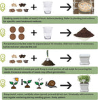 Meekear 10 Herb Seeds Garden Starter Grow Kit with White Pots, Markers, Nutritional Soil, Watering, Herb Clipper, Complete Indoor Potted Plant Growing Set for Kitchen DIY
