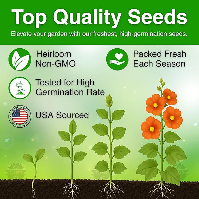 225+ Hollyhock Flower Seeds, Pack for 2026 USA Premium Non-GMO Carnival Mix Giant Hollyhock Seeds - Home Garden Flower Perennial