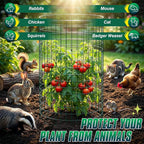 12 Pack 17" x 12" Tall Round Plant Cage - 36PCS Plant Support Cage Metal Wire Mesh Plant Protector for Outdoor Gardening Supplies Garden Protection Rabbits Chickens Ducks for Vegetables Flowers Shrubs