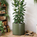 D'vine Dev 16 Inch Ceramic Planter Pot with Drainage Hole and Saucer, Indoor Cylinder Round Planter Pot, Olive, 94-O-H-J