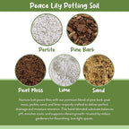Soil Sunrise Peace Lily Potting Soil Mix (12 Quarts) for Planting, Growing, or Repotting Peace Lily Plants