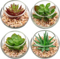 Briful Mini Fake Plants 4 Packs Cute Succulents Artificial Plants Potted Faux Succulents in Round Glass Vase for Bathroom Living Room Kitchen Shelf Table Decor