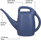 Chapin 48006 Watering Can, Garden, Indoor and Outdoor Plants, Recycled Plastic, Made in USA, 0.5 Gallon, Blue