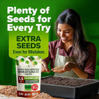 HOME GROWN Hard Red Winter Wheatgrass Seeds 12,000+ Bulk 1.5 lb Heirloom Non-GMO, Sprouting for Juicing, Healthy Smoothies, Pet Cat Grass, Microgreens, Indoor Garden (Triticum aestivum)