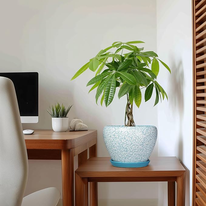 Ceramic Plant Pots - 8 Inch Indoor Plant Pots with Drainage Hole and Tray, Decorative Round Planters for Outdoor Plants, Indoor Plant Pot, Home Decor, Gifts for Men Women, Crackle Blue