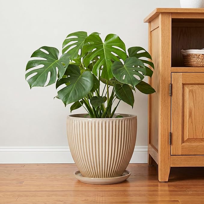 Ceramic Planter, 10 Inch Plant Pot for Large Indoor Plants, Decorative Planters with Drainage Hole and Saucer, Round Flower Pot, Modern Planter, Home Garden Decor, Beige